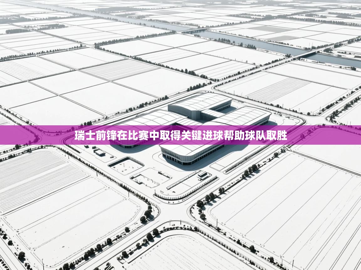 瑞士前锋在比赛中取得关键进球帮助球队取胜  第2张