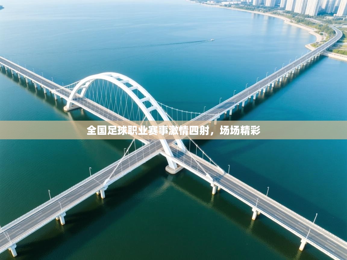 全国足球职业赛事激情四射，场场精彩  第1张