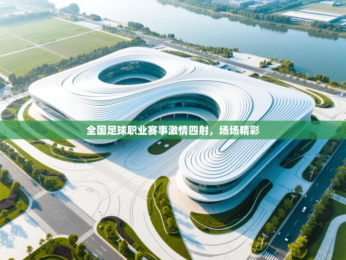 全国足球职业赛事激情四射，场场精彩  第2张